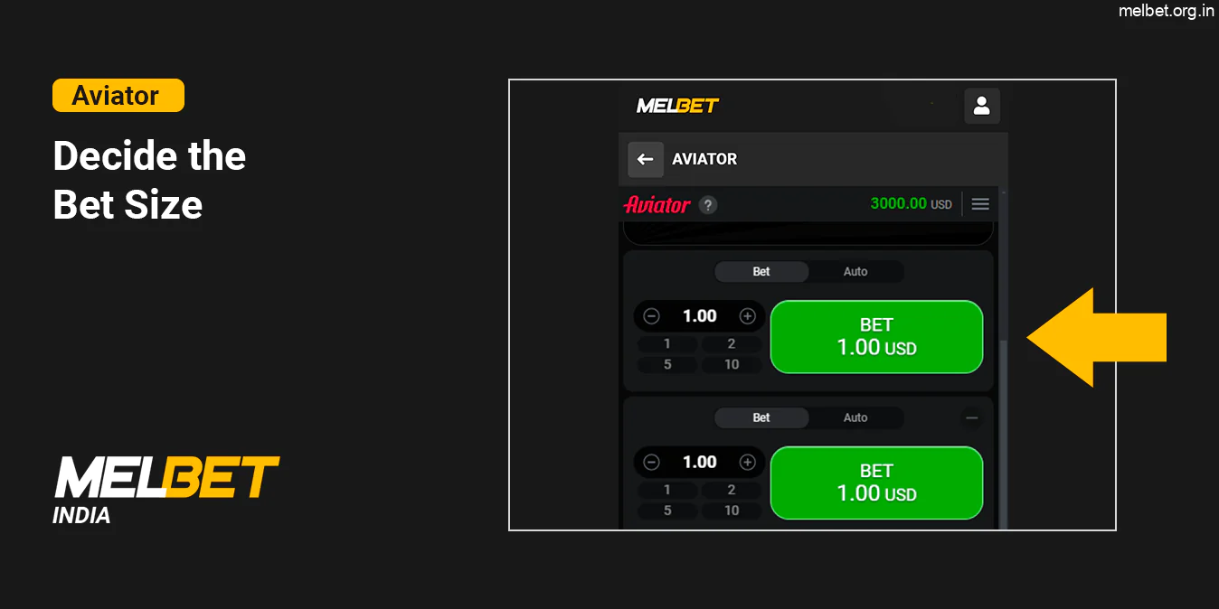 Decide the Aviator Bet size - Melbet